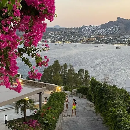 Dream House ボドルム